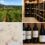 Découvrez comment constituer votre cave en ligne avec notre méthode simple et nos conseils pratiques pour choisir, acheter et conserver vos vins en toute sérénité.